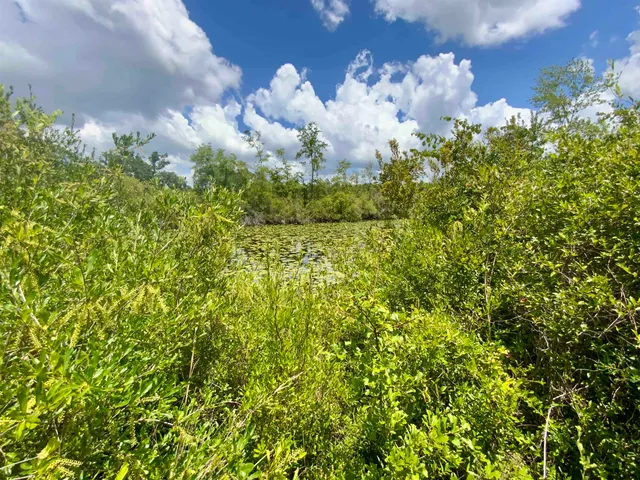 $85,000 | Vacant East Washington Highway, Monticello, FL 32344