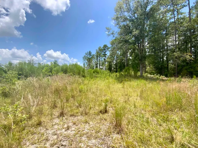 $85,000 | Vacant East Washington Highway, Monticello, FL 32344