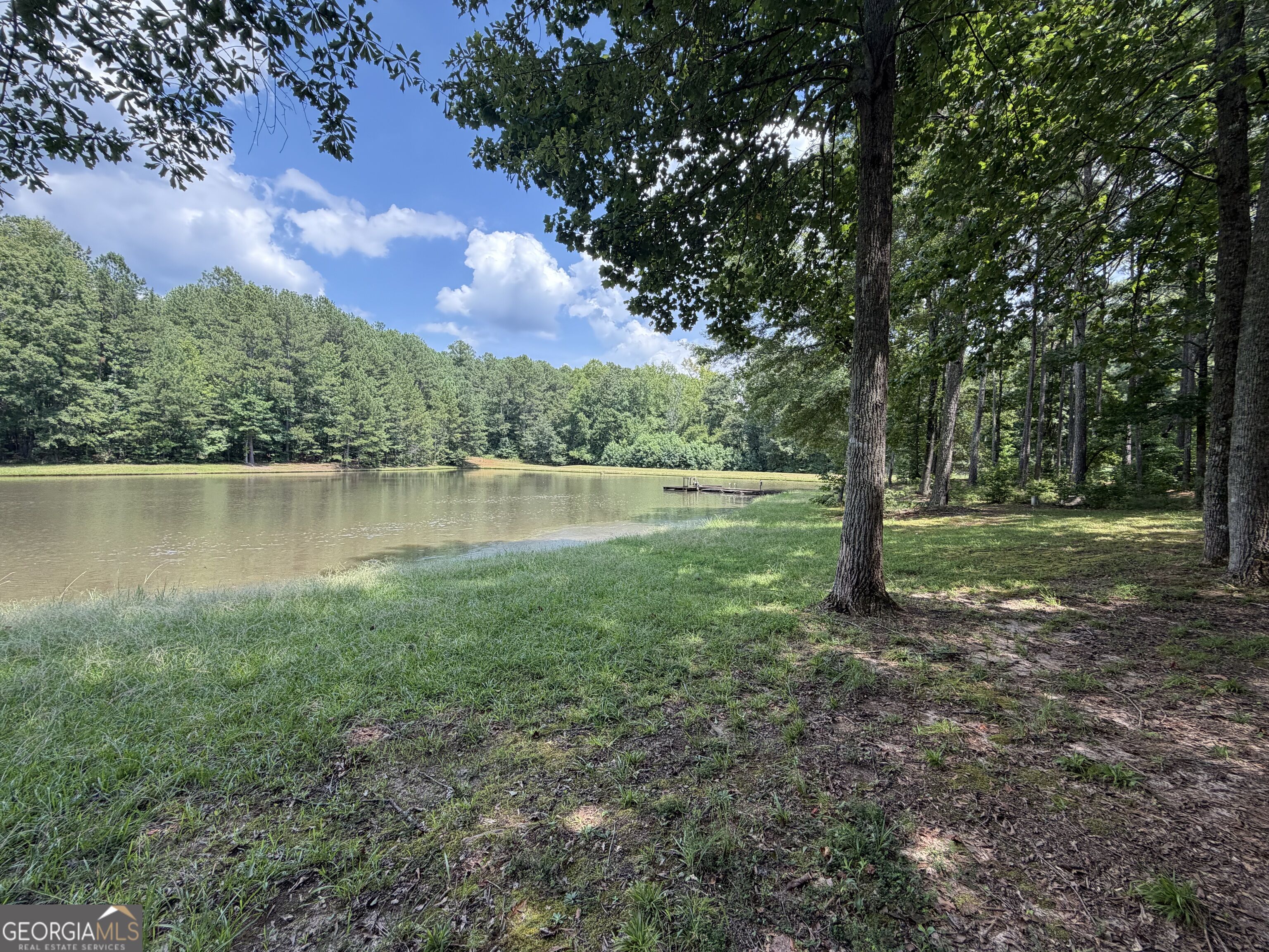 1917 Al Roberts Road Senoia, GA 30276 - Photo 2 of 20 Gallery Image 2