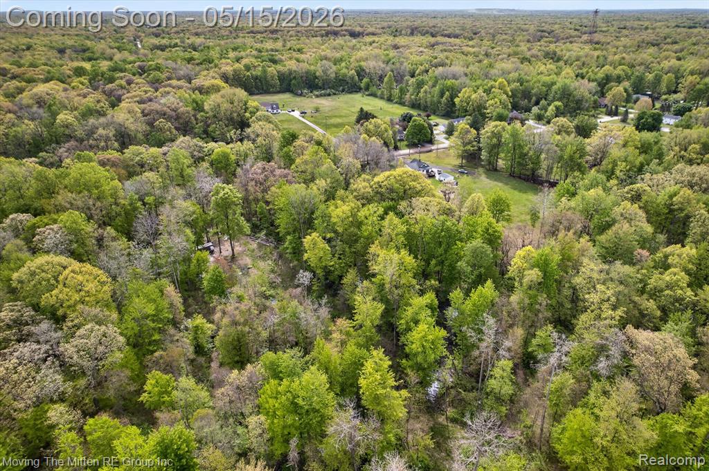 22530 Bohn Road Belleville, MI 48111 - Photo 9 of 28