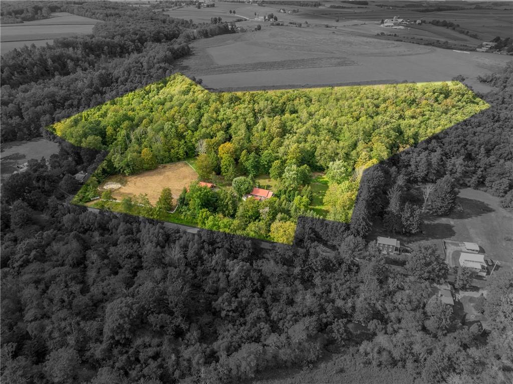 652 Tub Mill Run Road West Salisbury, PA 15565 - Photo 44 of 48 a view of a garden with a pathway