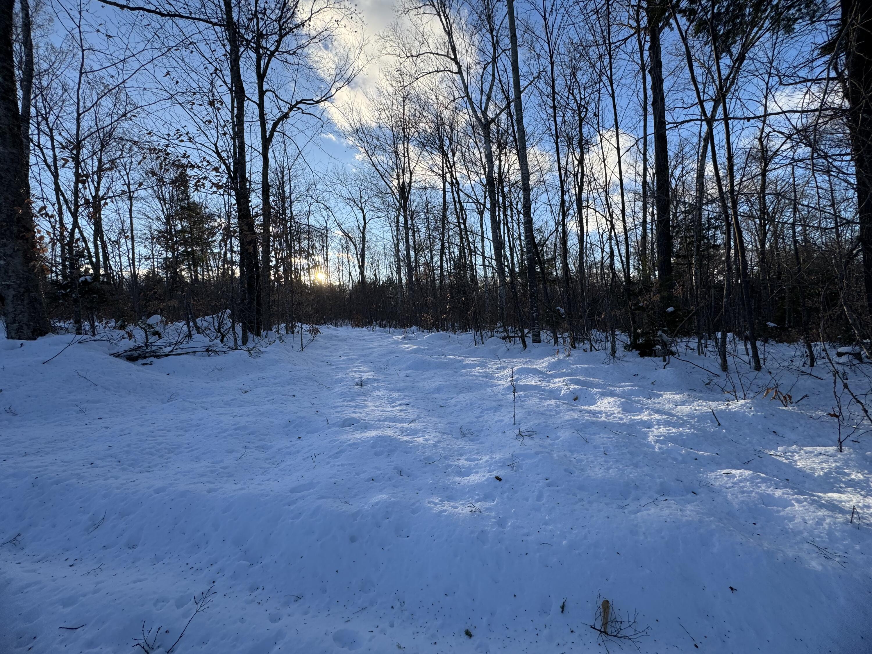 Map7-lot7 South Shore Road Abbot, ME 04406 - Photo 22 of 28 IMG_9013