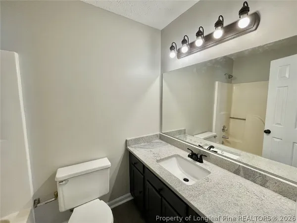 a bathroom with a sink vanity and toilet