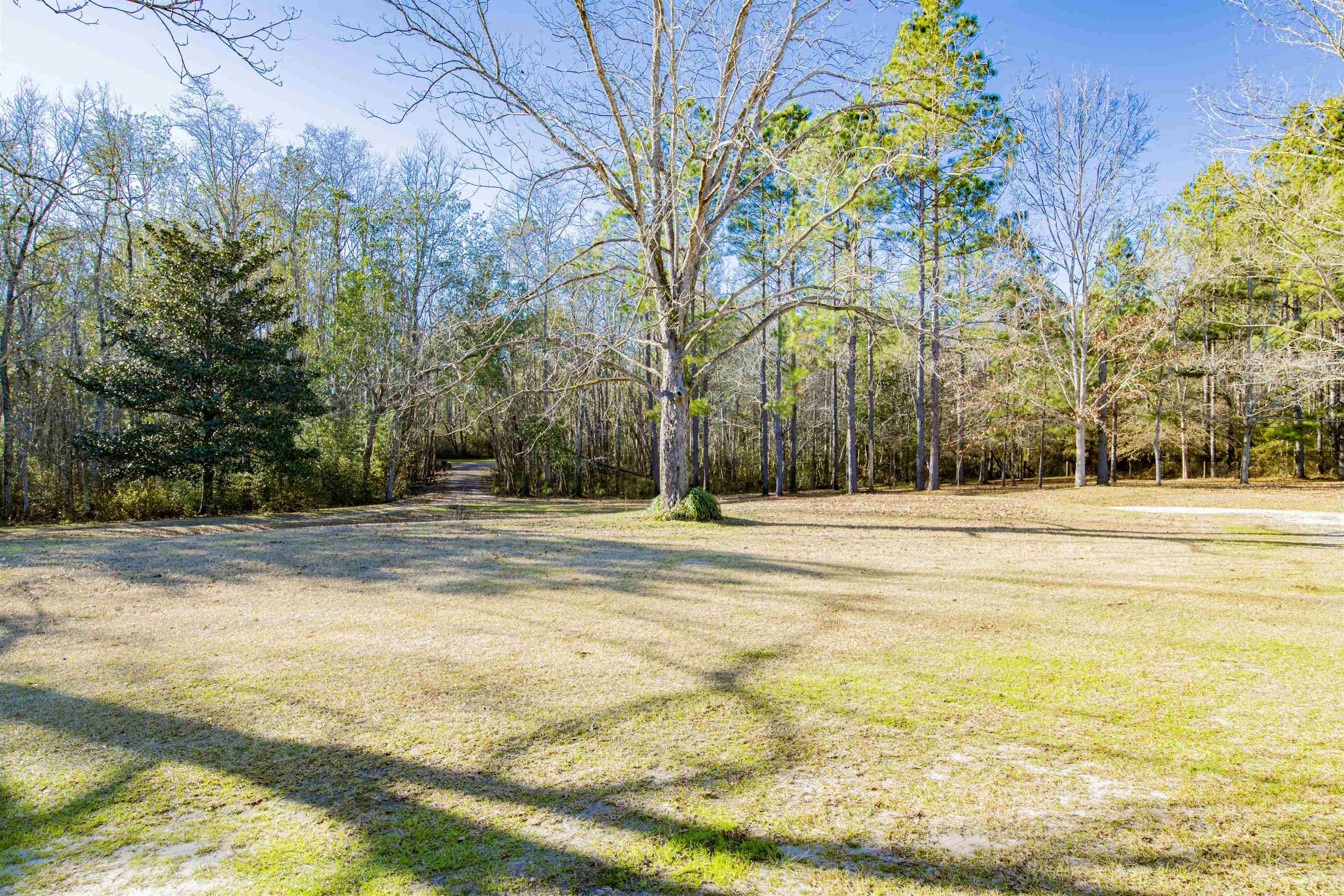 14500 Melvin Johnson Road Stapleton, AL 36578 - Photo 10 of 24