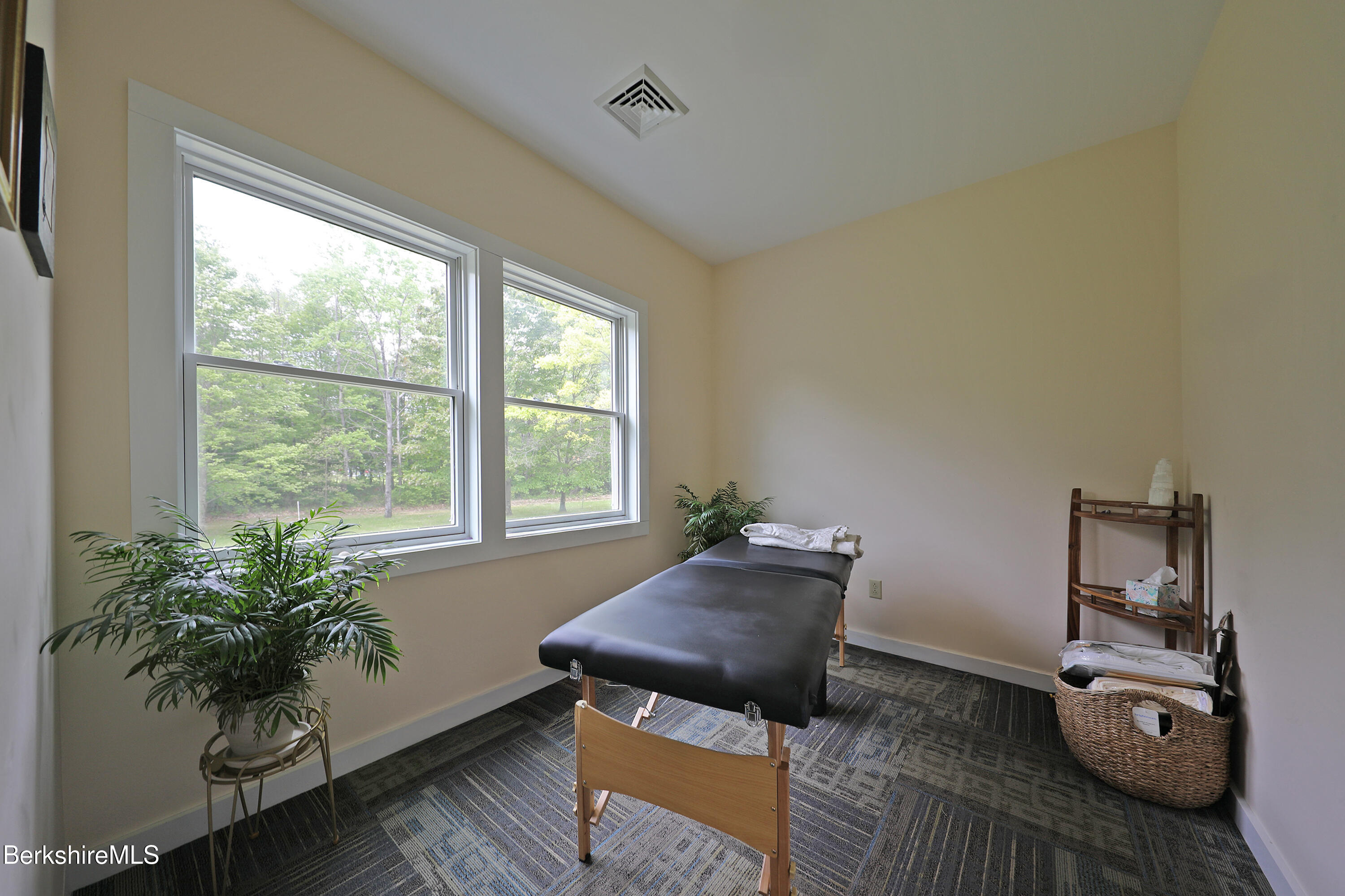 458 Monterey Road Great Barrington, MA 01230 - Photo 30 of 36 a living room with furniture and a potted plant