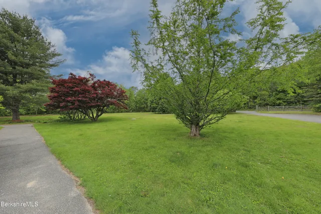 a view of a garden with a tree