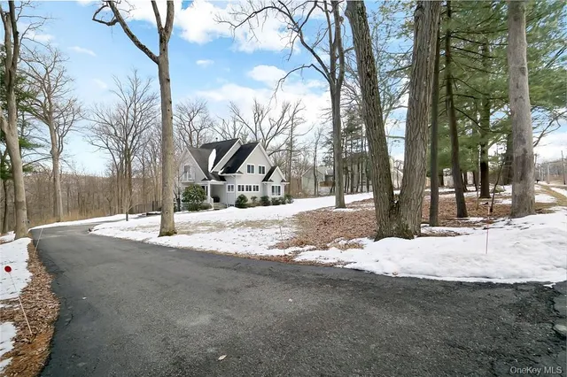 a street view covered with snow