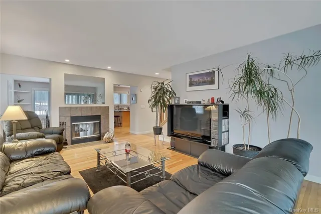 a living room with furniture a fireplace and a potted plant