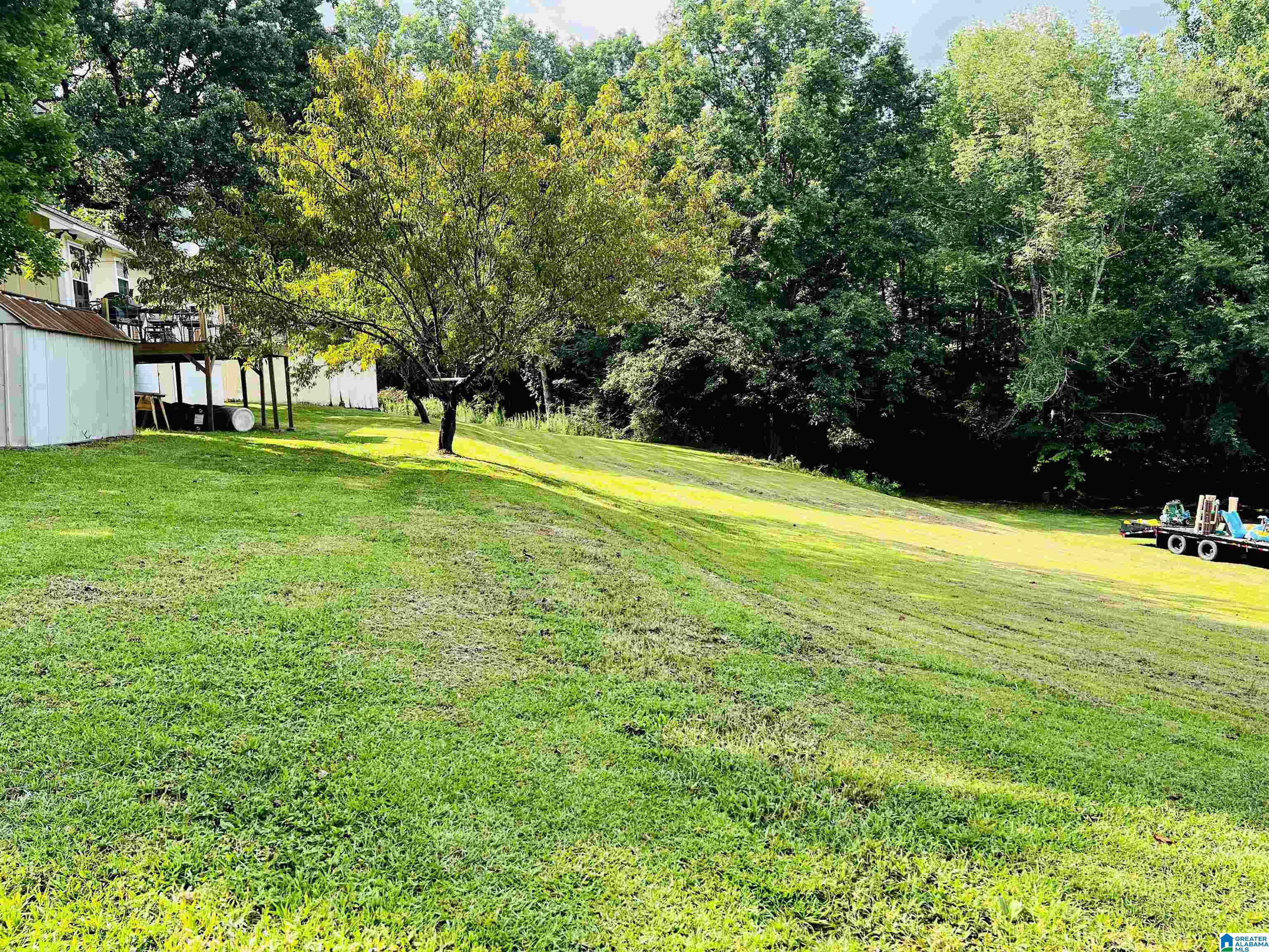 25 Faulkner Road Oneonta, AL 35121 - Photo 3 of 18