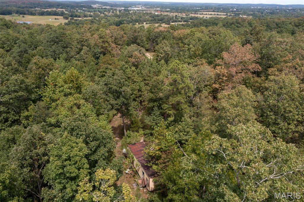 9519 Madison Street Fredericktown, MO 63645 - Photo 12 of 36