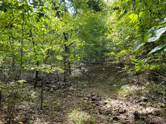 $159,500 | 9519 Madison Street, Fredericktown, MO 63645