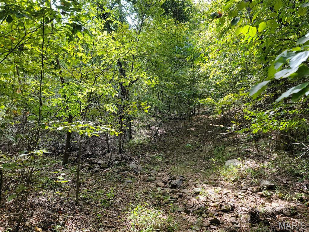 9519 Madison Street Fredericktown, MO 63645 - Photo 14 of 36