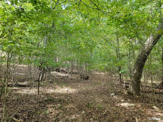 $159,500 | 9519 Madison Street, Fredericktown, MO 63645