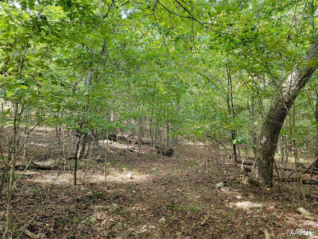 9519 Madison Street Fredericktown, MO 63645 - Photo 15 of 36