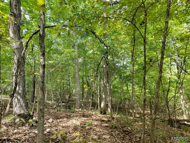 $159,500 | 9519 Madison Street, Fredericktown, MO 63645