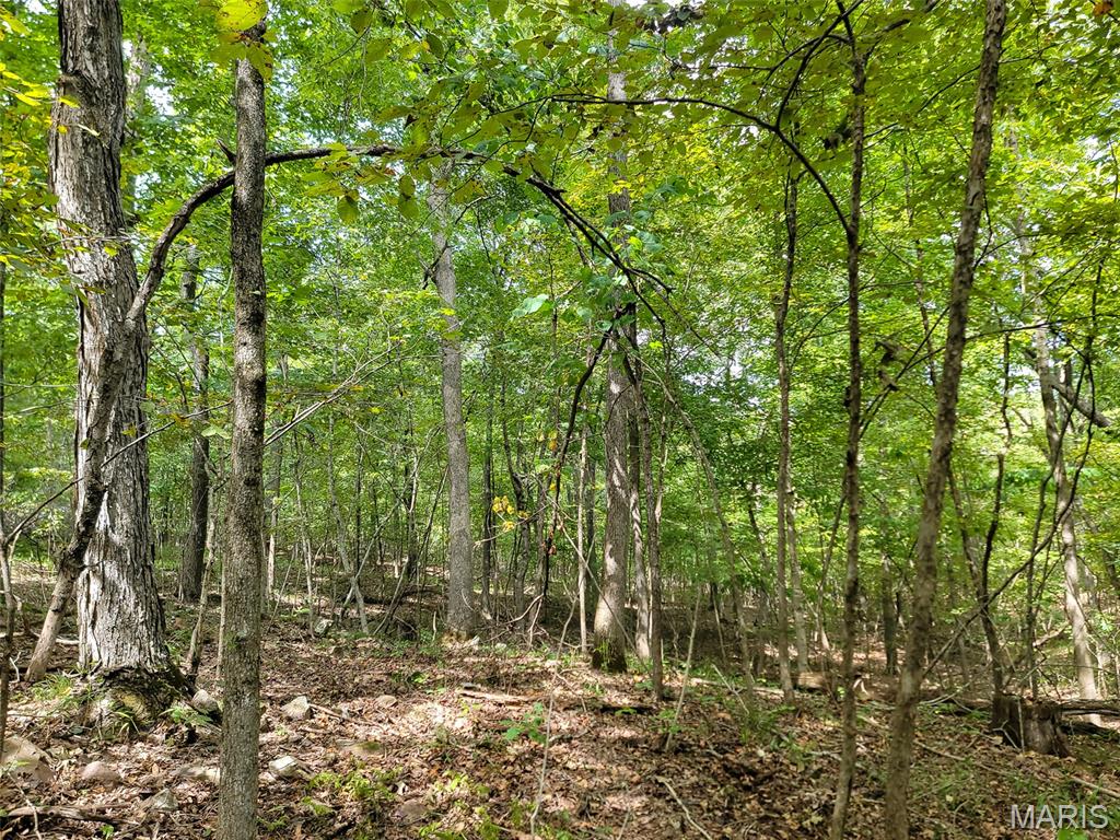 9519 Madison Street Fredericktown, MO 63645 - Photo 17 of 36