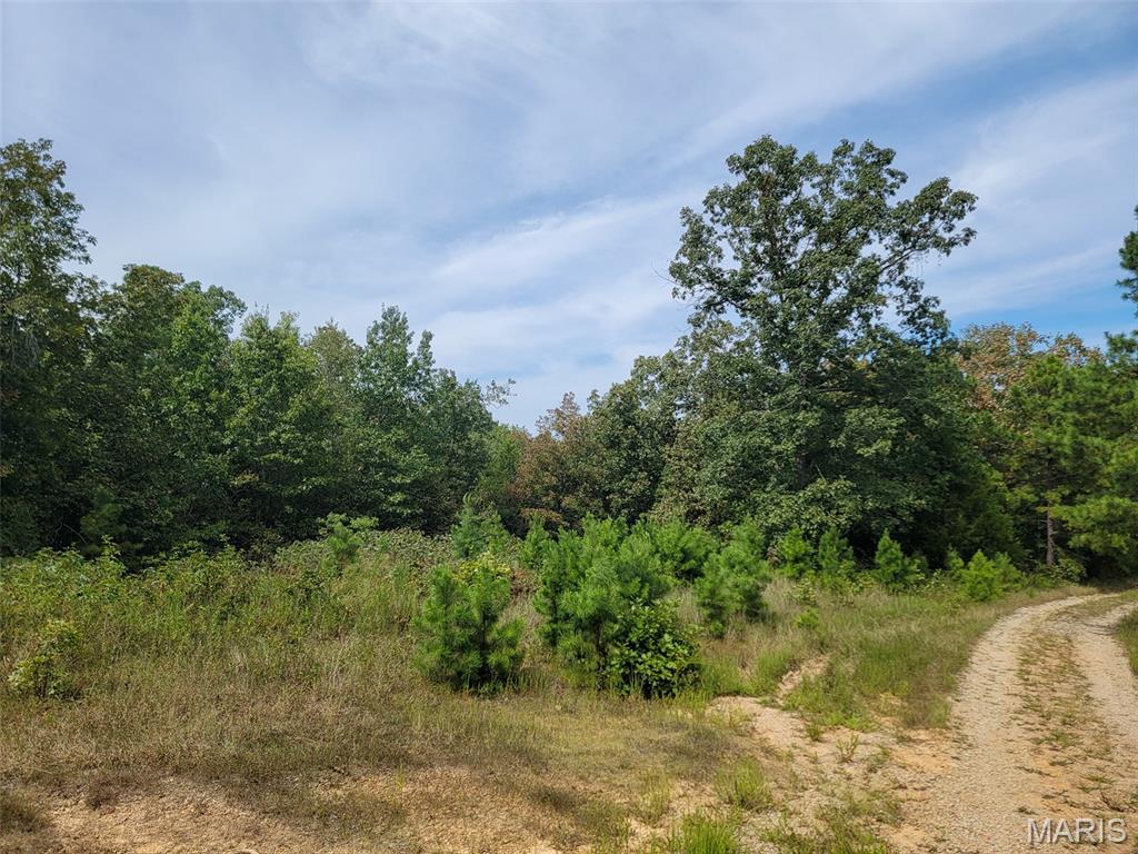 9519 Madison Street Fredericktown, MO 63645 - Photo 18 of 36