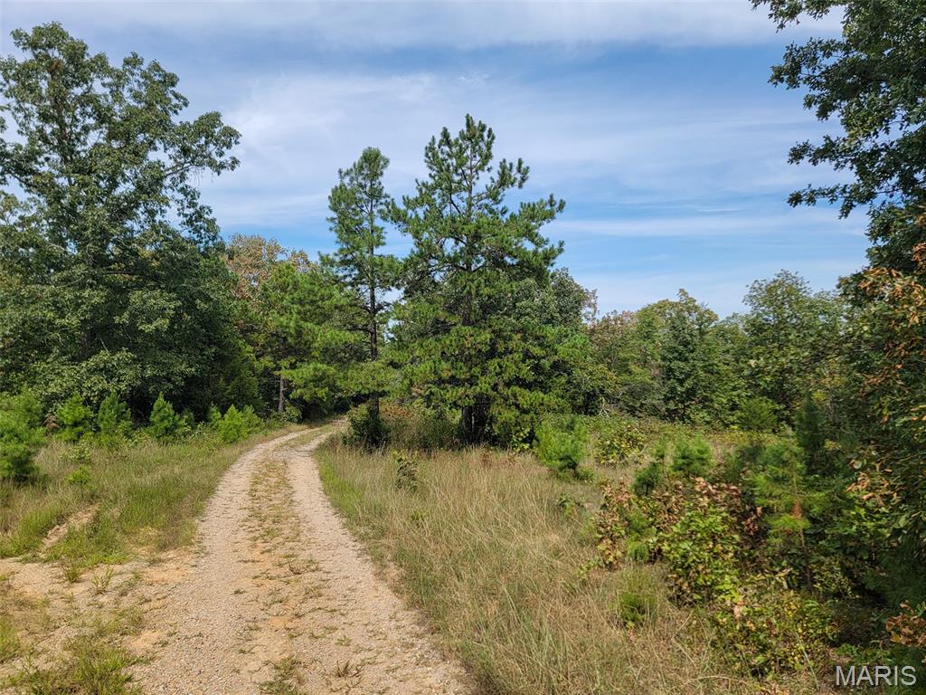 9519 Madison Street Fredericktown, MO 63645 - Photo 19 of 36