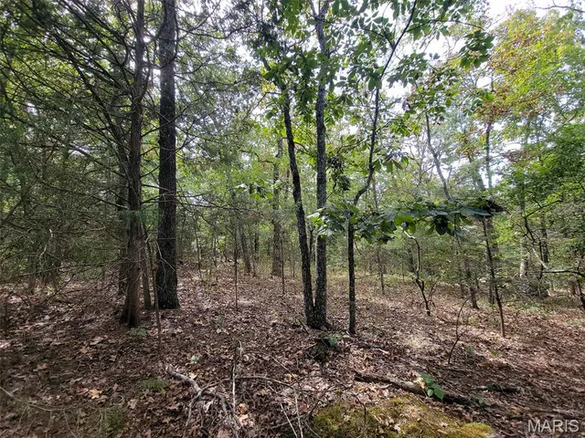 $159,500 | 9519 Madison Street, Fredericktown, MO 63645