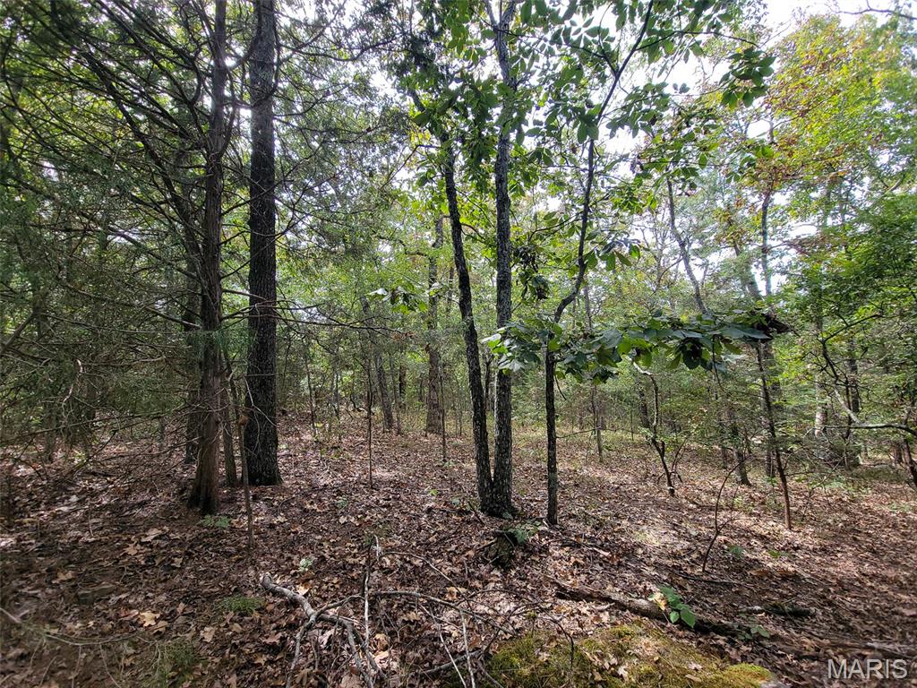 9519 Madison Street Fredericktown, MO 63645 - Photo 20 of 36