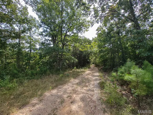 $159,500 | 9519 Madison Street, Fredericktown, MO 63645