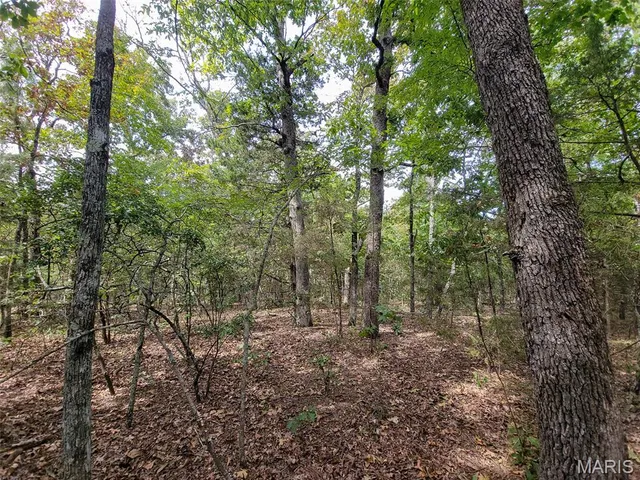 $159,500 | 9519 Madison Street, Fredericktown, MO 63645