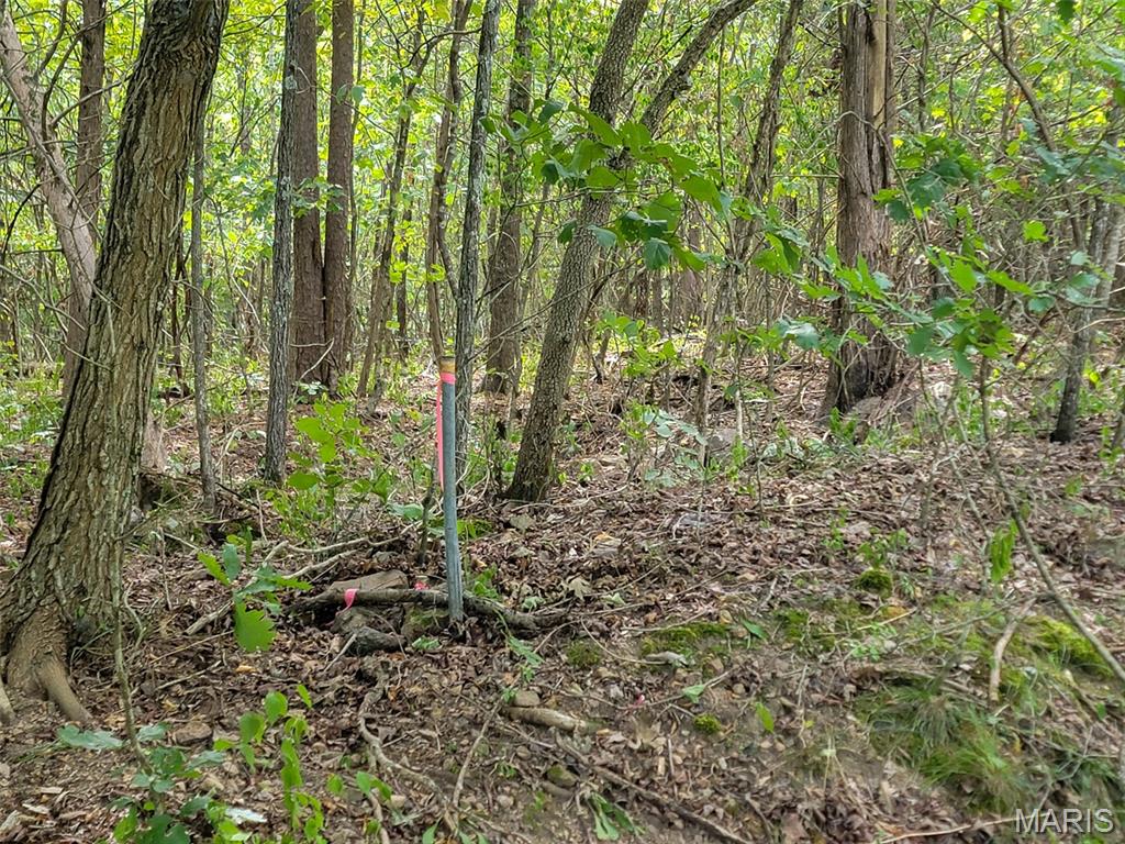 9519 Madison Street Fredericktown, MO 63645 - Photo 22 of 36