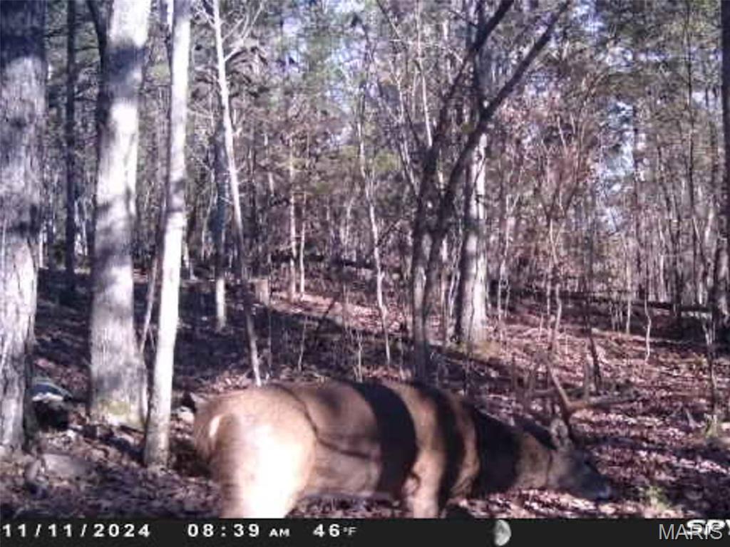 9519 Madison Street Fredericktown, MO 63645 - Photo 23 of 36