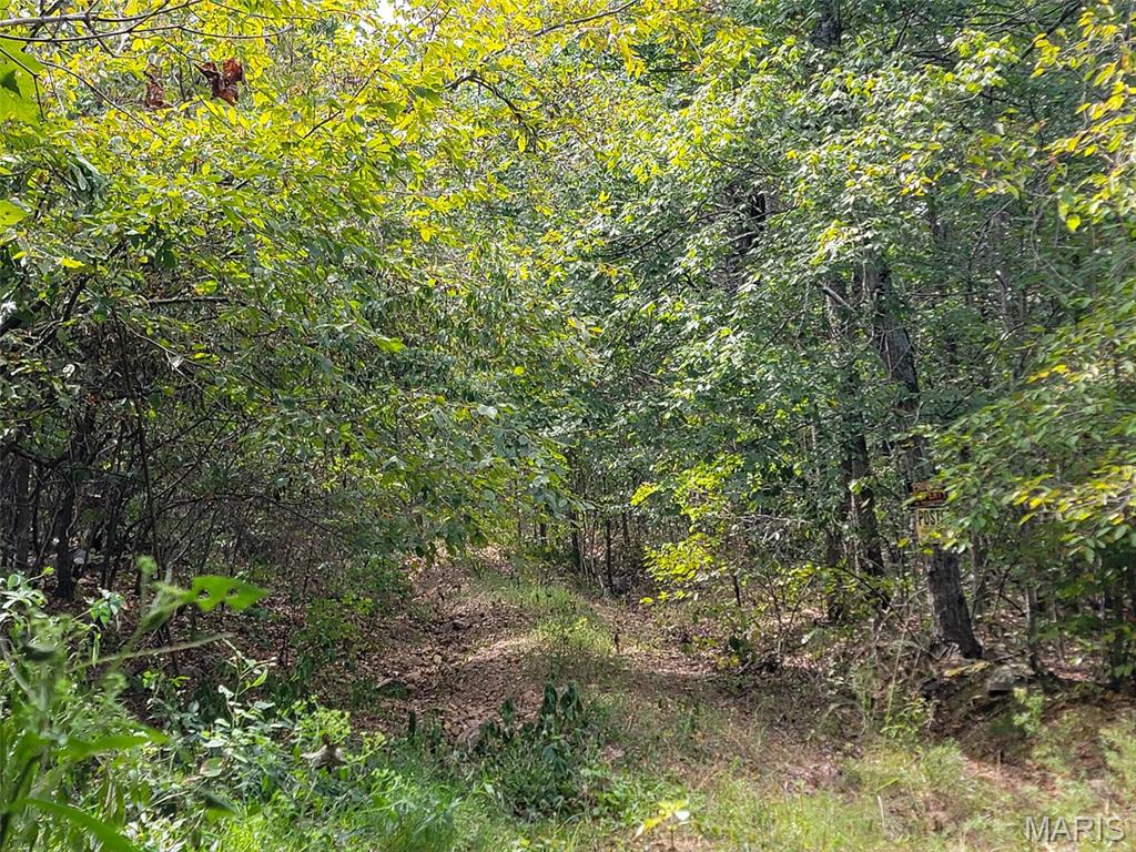 9519 Madison Street Fredericktown, MO 63645 - Photo 24 of 36