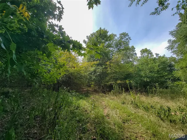 $159,500 | 9519 Madison Street, Fredericktown, MO 63645