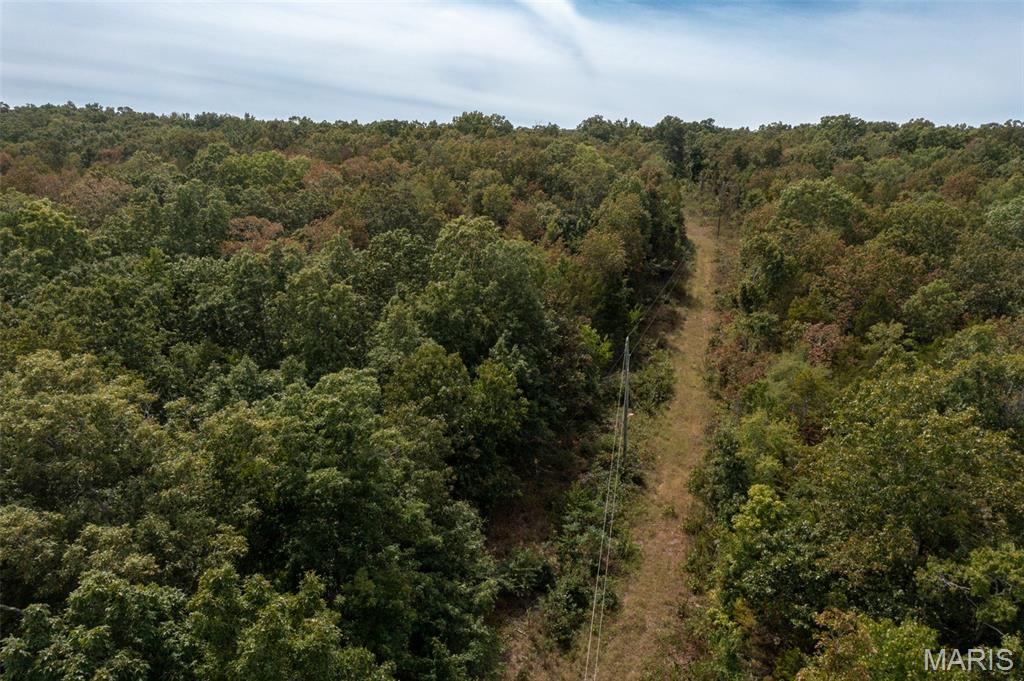 9519 Madison Street Fredericktown, MO 63645 - Photo 27 of 36