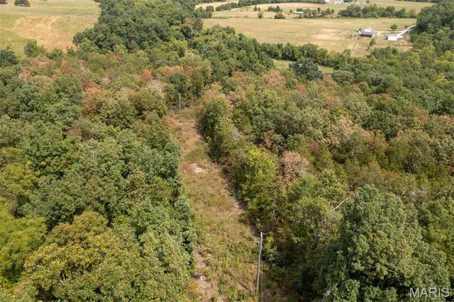 $159,500 | 9519 Madison Street, Fredericktown, MO 63645