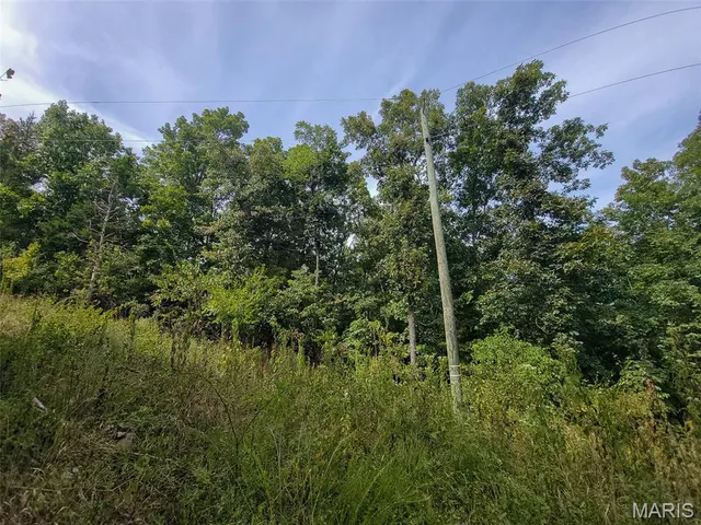 $159,500 | 9519 Madison Street, Fredericktown, MO 63645