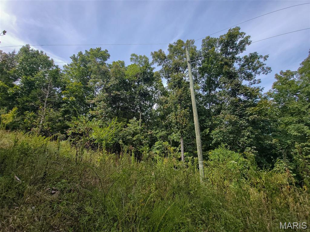 9519 Madison Street Fredericktown, MO 63645 - Photo 29 of 36