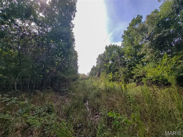 $159,500 | 9519 Madison Street, Fredericktown, MO 63645