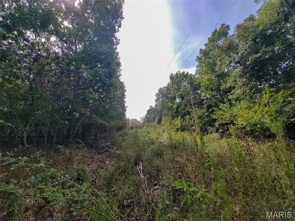 9519 Madison Street Fredericktown, MO 63645 - Photo 30 of 36