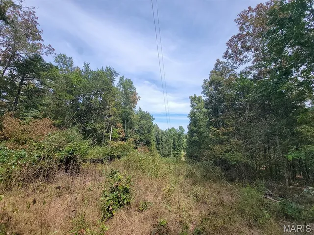 $159,500 | 9519 Madison Street, Fredericktown, MO 63645