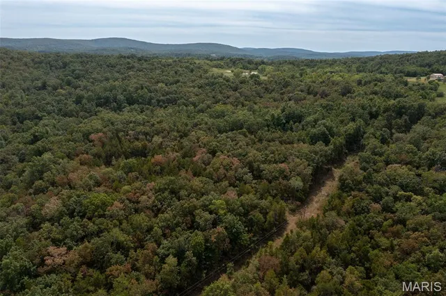 $159,500 | 9519 Madison Street, Fredericktown, MO 63645