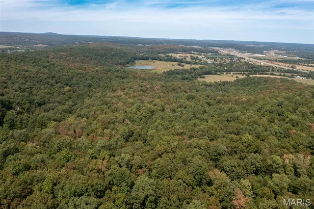 $159,500 | 9519 Madison Street, Fredericktown, MO 63645