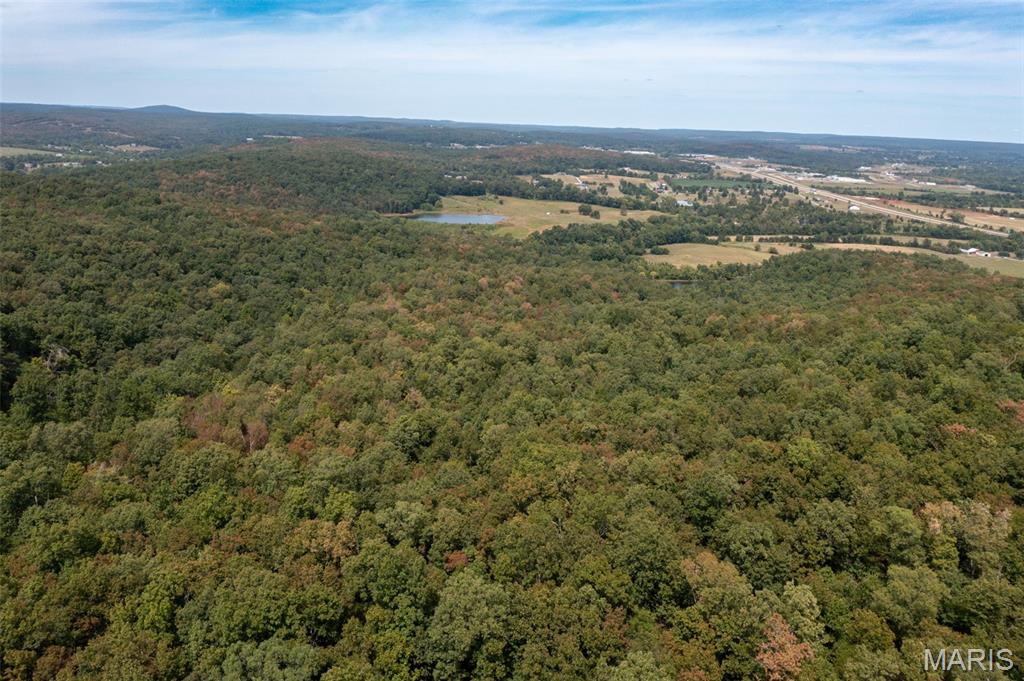 9519 Madison Street Fredericktown, MO 63645 - Photo 35 of 36