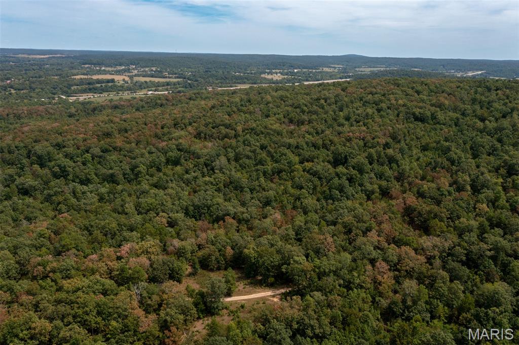 9519 Madison Street Fredericktown, MO 63645 - Photo 5 of 36