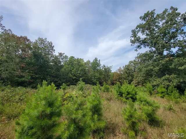 $159,500 | 9519 Madison Street, Fredericktown, MO 63645