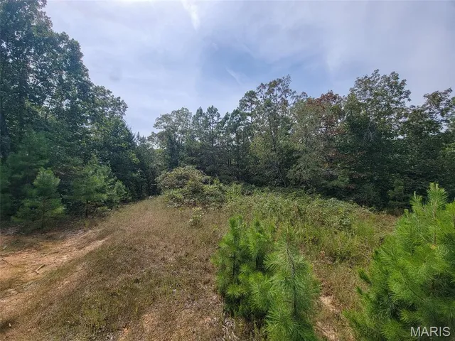 $159,500 | 9519 Madison Street, Fredericktown, MO 63645