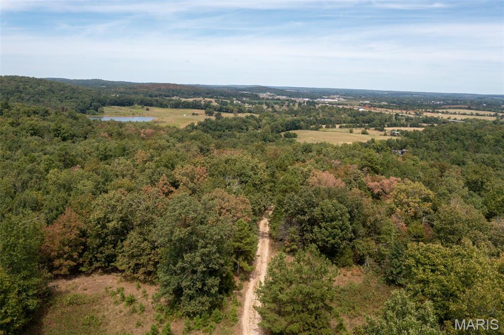 9519 Madison Street Fredericktown, MO 63645 - Photo 8 of 36