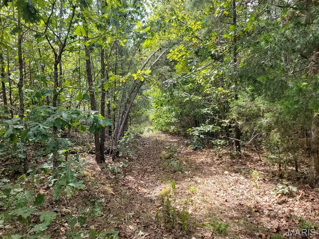 $159,500 | 9519 Madison Street, Fredericktown, MO 63645