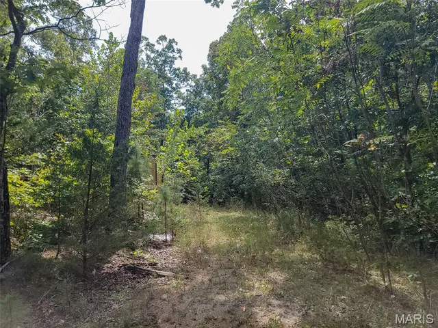 $159,500 | 9519 Madison Street, Fredericktown, MO 63645