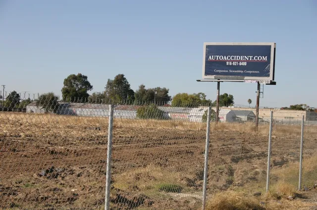 a row of palm trees and a yard with a trees