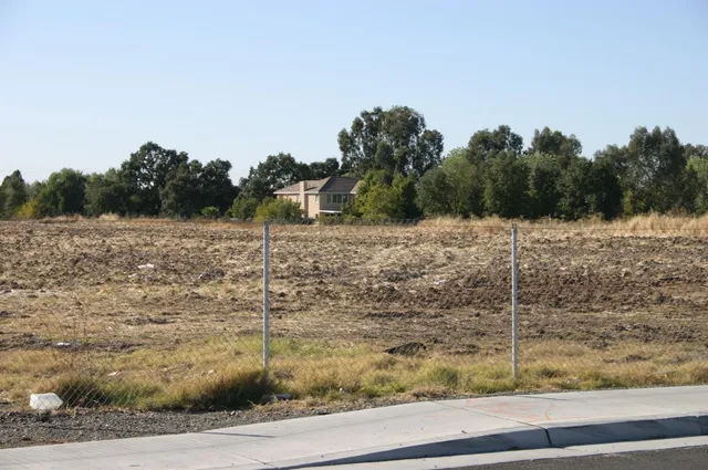 a view of dirt field with trees