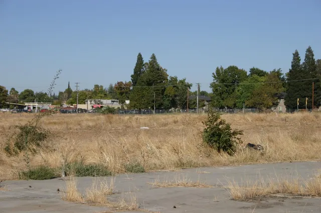 a front view of a house with a yard and large tree