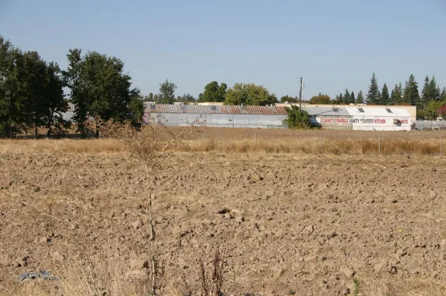 a view of a dry yard with trees